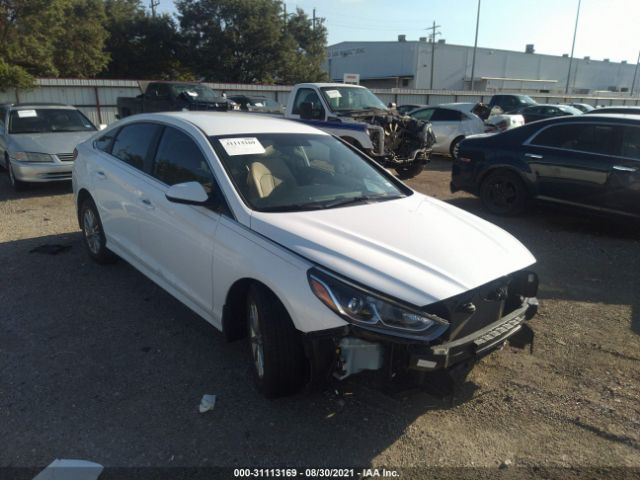 HYUNDAI SONATA 2019 5npe24afxkh804161