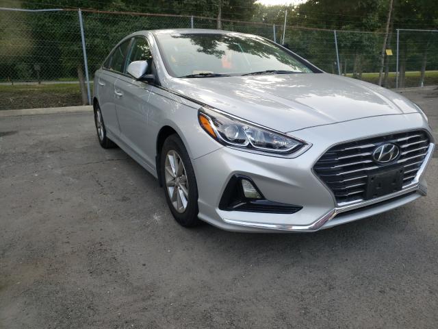 HYUNDAI SONATA 2019 5npe24afxkh804936