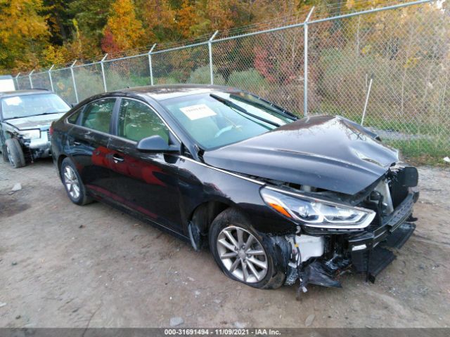 HYUNDAI SONATA 2019 5npe24afxkh807450