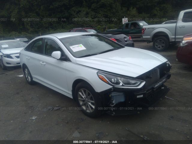 HYUNDAI SONATA 2019 5npe24afxkh808016