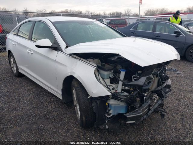 HYUNDAI SONATA 2019 5npe24afxkh809554