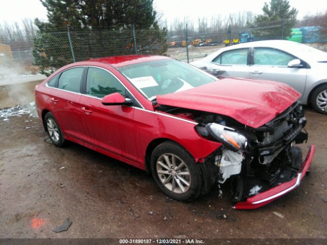 HYUNDAI SONATA 2019 5npe24afxkh810333