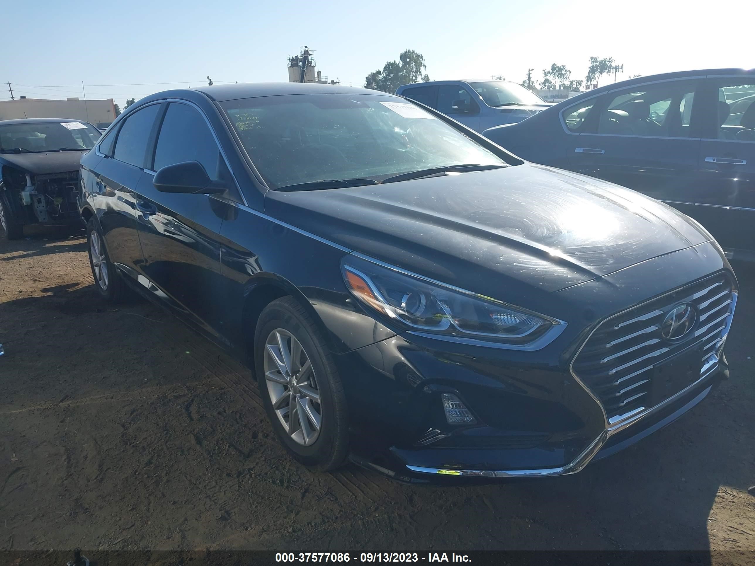 HYUNDAI SONATA 2019 5npe24afxkh813426