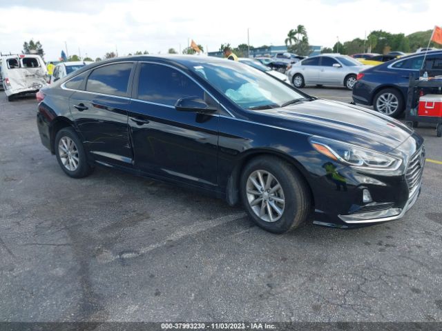 HYUNDAI SONATA 2019 5npe24afxkh814477