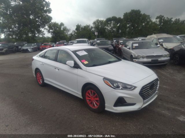 HYUNDAI SONATA 2019 5npe24afxkh818917