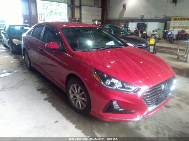 HYUNDAI SONATA 2019 5npe24afxkh819615