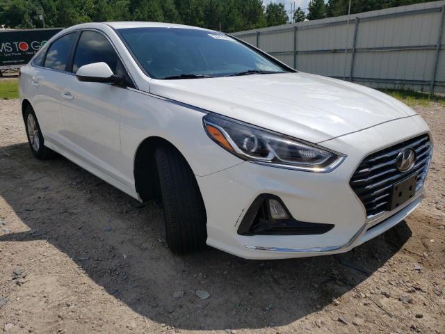 HYUNDAI SONATA SE 2019 5npe24afxkh820280