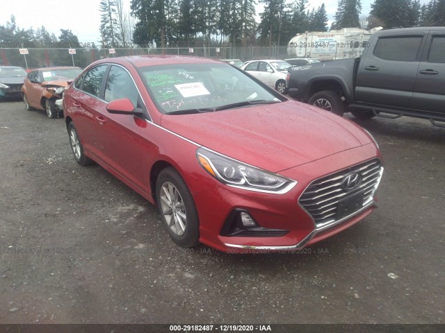 HYUNDAI SONATA 2019 5npe24afxkh821512