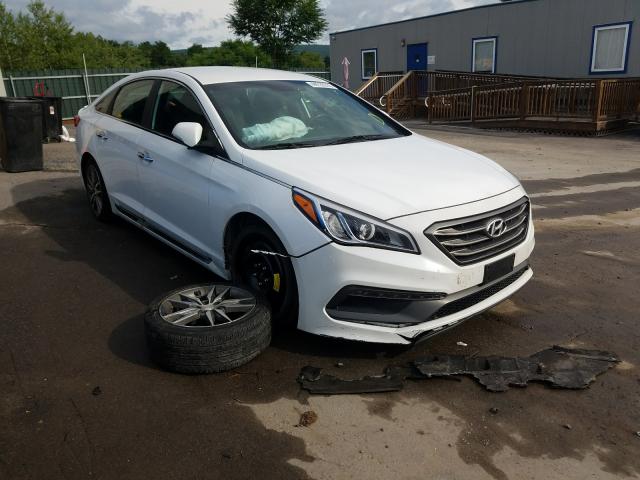 HYUNDAI SONATA SPO 2015 5npe34ab0fh053345