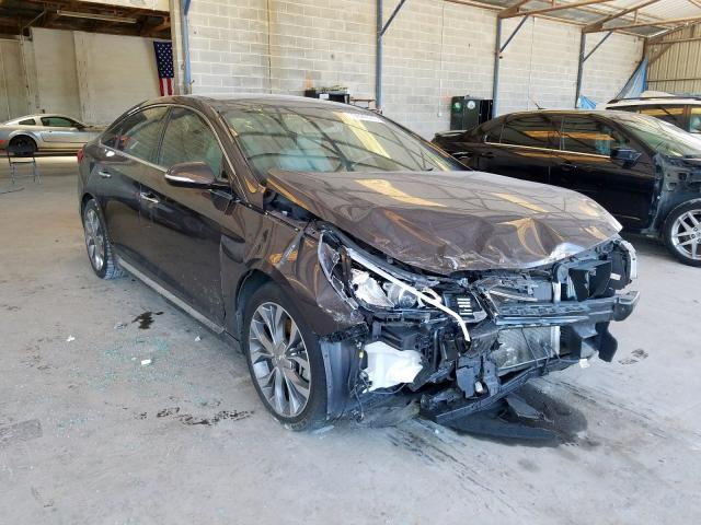 HYUNDAI SONATA SPO 2015 5npe34ab1fh127856