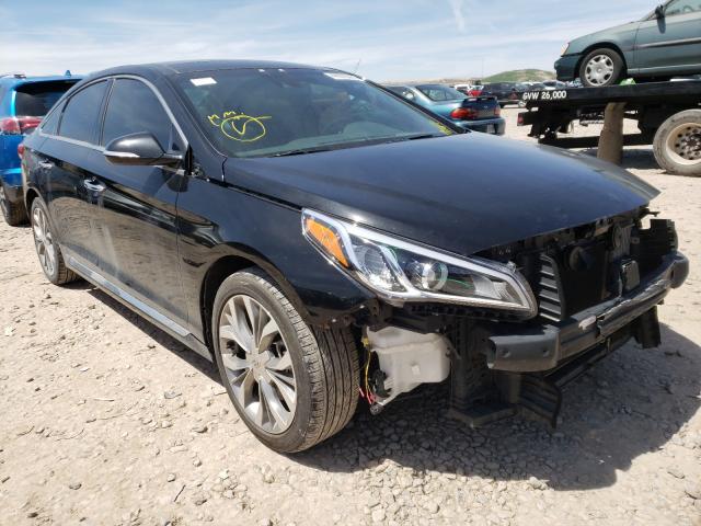 HYUNDAI SONATA SPO 2015 5npe34ab1fh175146