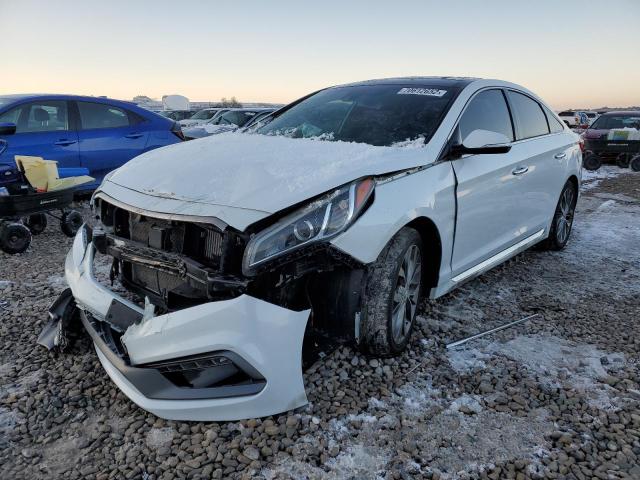 HYUNDAI SONATA SPO 2015 5npe34ab1fh256079