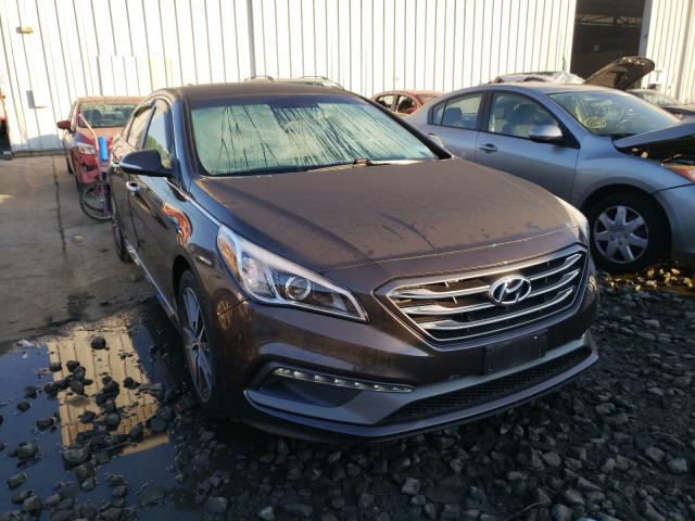 HYUNDAI SONATA SPO 2015 5npe34ab2fh093118