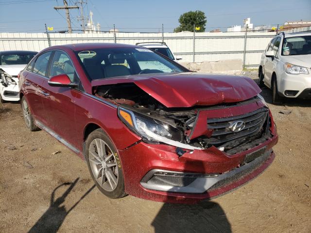 HYUNDAI SONATA SPO 2015 5npe34ab2fh224337