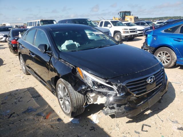 HYUNDAI SONATA SPO 2015 5npe34ab2fh243762