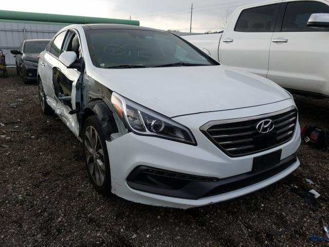 HYUNDAI SONATA SPO 2015 5npe34ab3fh256262