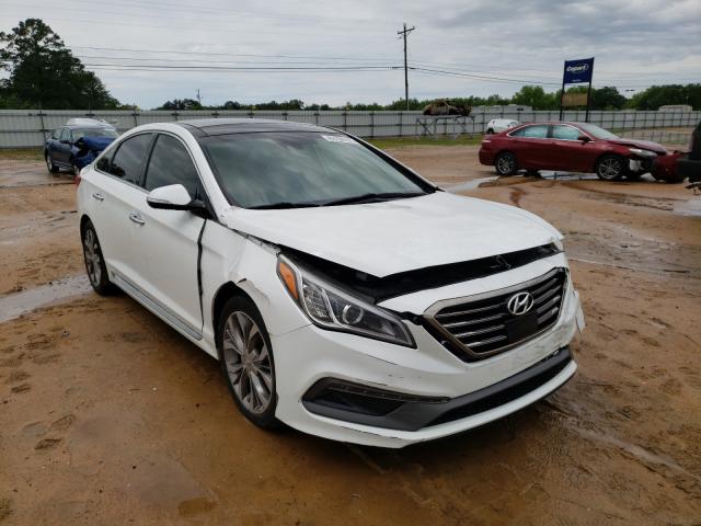 HYUNDAI SONATA SPO 2015 5npe34ab4fh196959