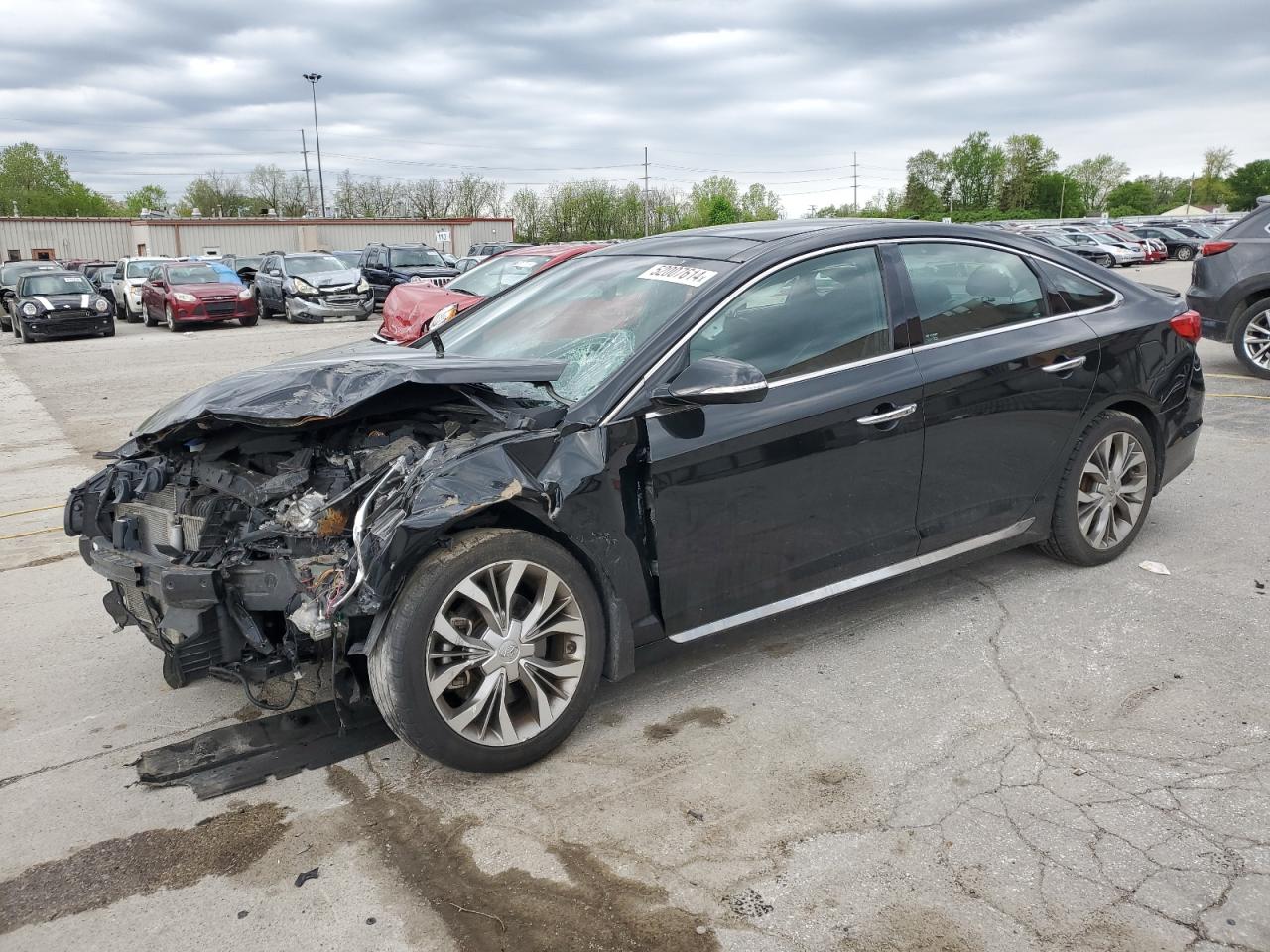 HYUNDAI SONATA SPO 2015 5npe34ab5fh136592