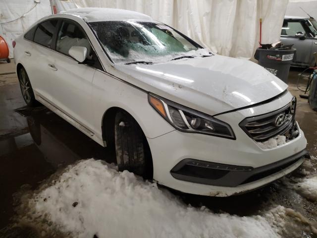 HYUNDAI SONATA SPO 2017 5npe34ab5hh504028