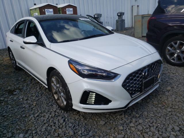 HYUNDAI SONATA LIM 2019 5npe34ab5kh781270