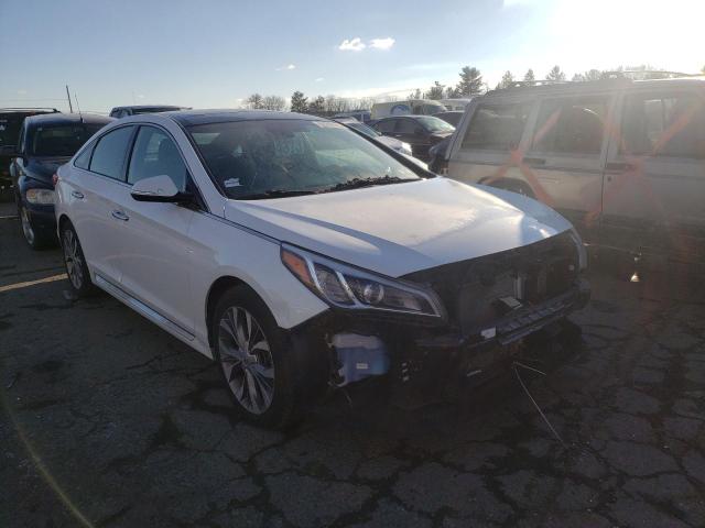 HYUNDAI SONATA SPO 2015 5npe34ab6fh110826