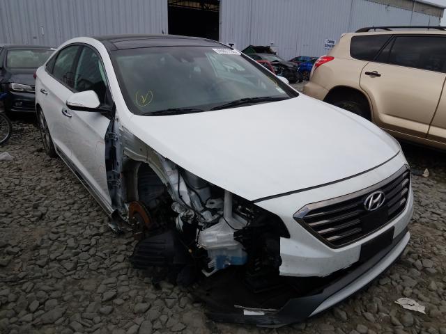 HYUNDAI SONATA SPO 2015 5npe34ab6fh166636