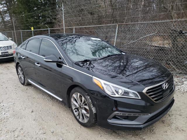 HYUNDAI SONATA SPO 2015 5npe34ab6fh251413