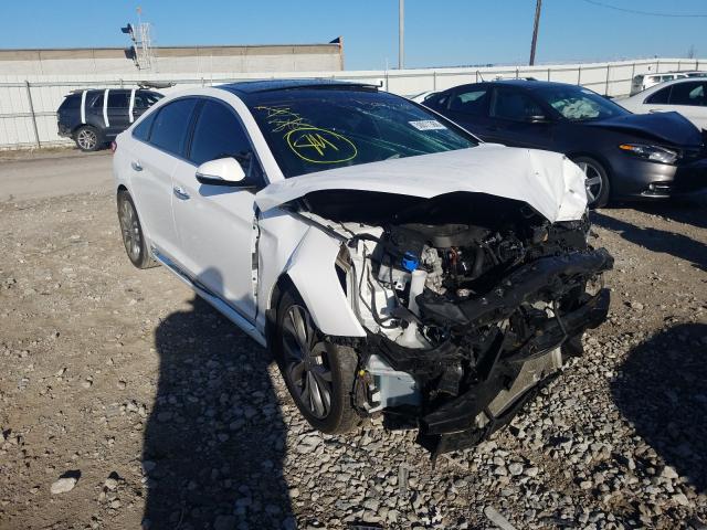 HYUNDAI SONATA SPO 2017 5npe34ab6hh495467