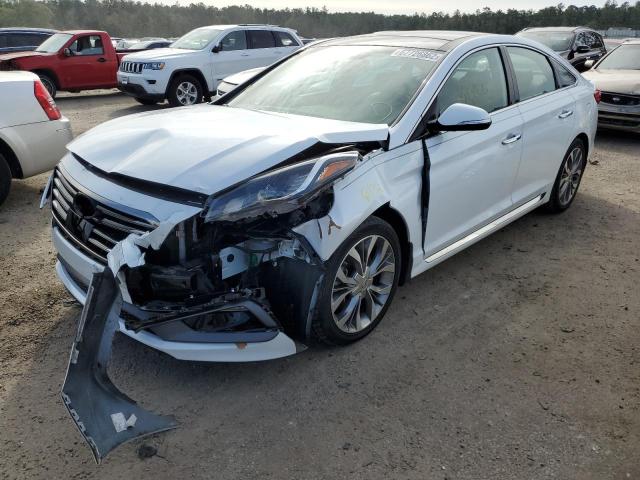 HYUNDAI SONATA SPO 2015 5npe34ab7fh130406