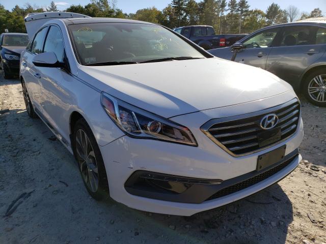 HYUNDAI SONATA SPO 2015 5npe34ab7fh137002