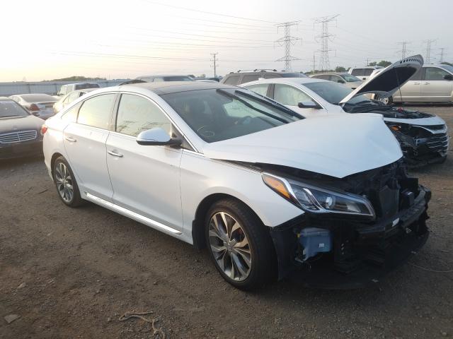 HYUNDAI SONATA SPO 2015 5npe34ab7fh157332