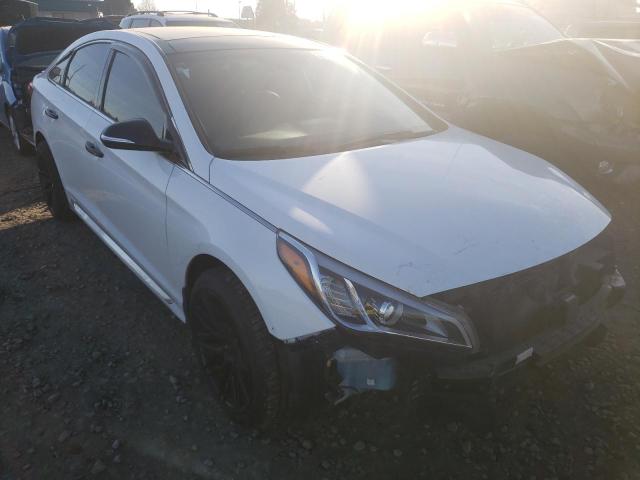 HYUNDAI SONATA SPO 2015 5npe34ab7fh181548