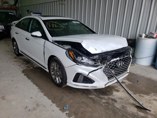 HYUNDAI SONATA SPO 2018 5npe34ab7jh673120