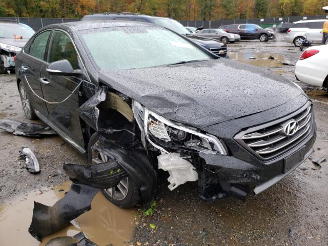 HYUNDAI SONATA SPO 2015 5npe34ab8fh098503