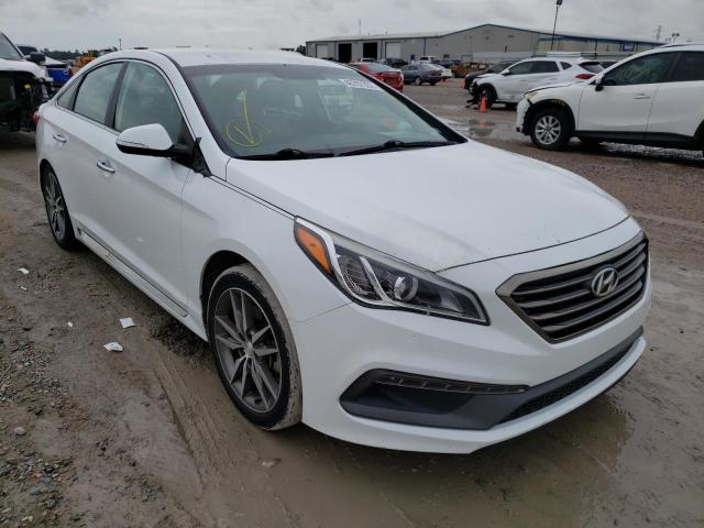 HYUNDAI SONATA SPO 2015 5npe34ab8fh100458