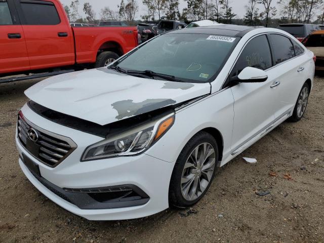 HYUNDAI SONATA SPO 2015 5npe34ab8fh132343