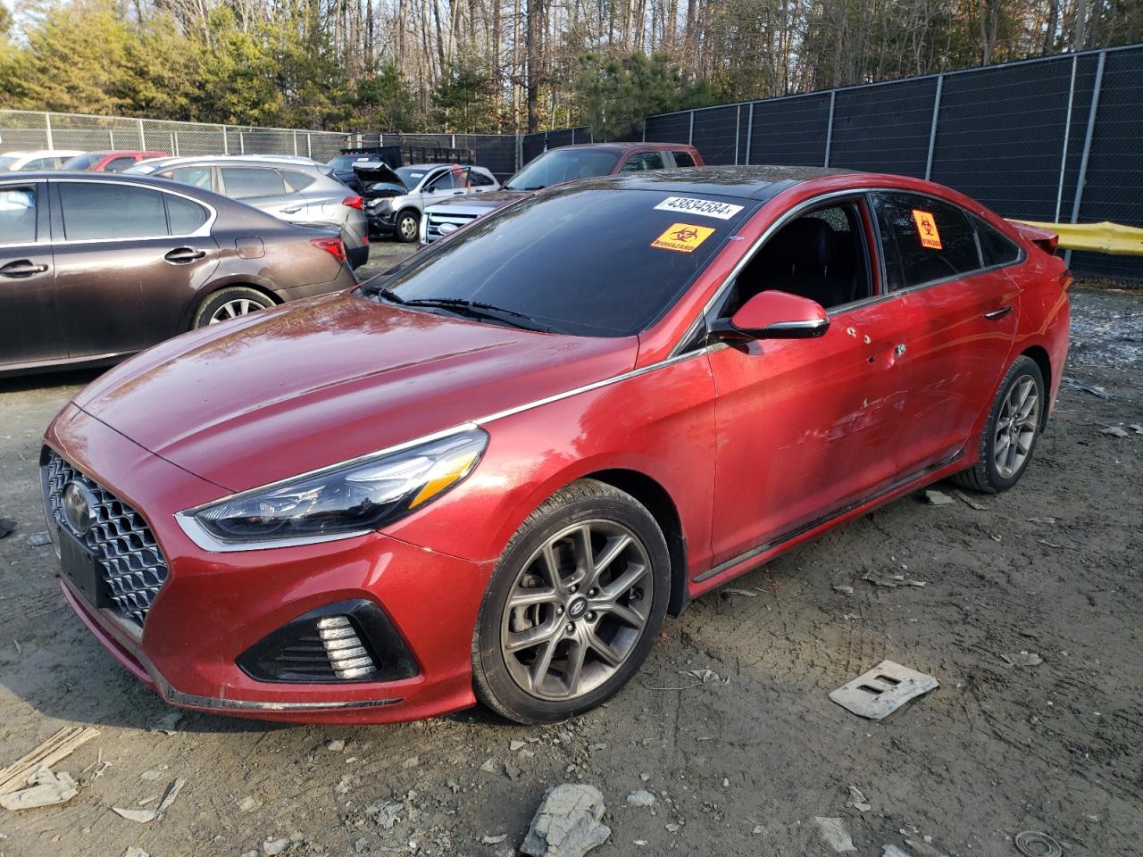 HYUNDAI SONATA 2019 5npe34ab8kh820630