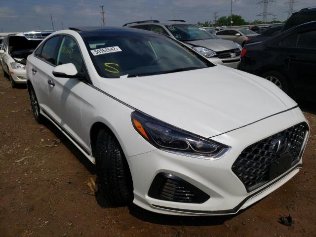 HYUNDAI SONATA LIM 2019 5npe34ab9kh754735