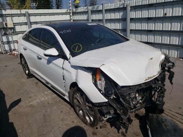 HYUNDAI SONATA SPO 2015 5npe34abxfh124535