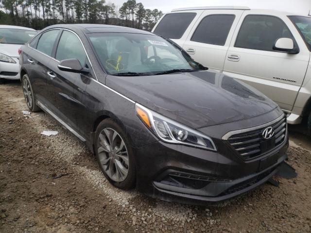 HYUNDAI SONATA SPO 2015 5npe34abxfh191703