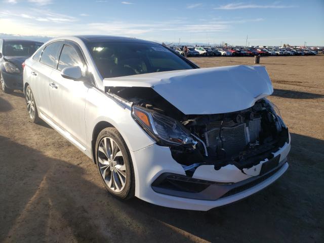 HYUNDAI SONATA SPO 2017 5npe34abxhh500993