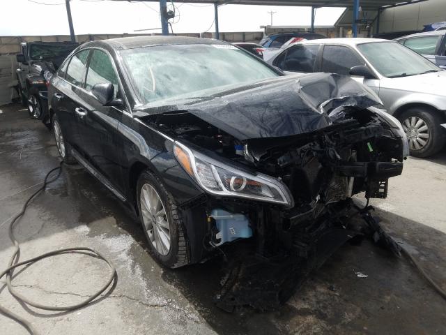 HYUNDAI SONATA SPO 2015 5npe34af0fh013351