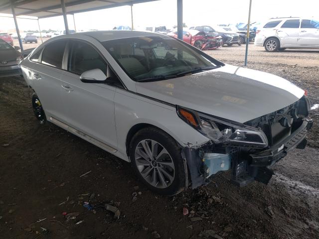 HYUNDAI SONATA SPO 2015 5npe34af0fh036743