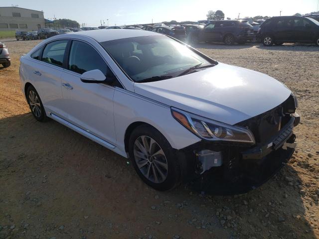 HYUNDAI SONATA SPO 2015 5npe34af0fh042445