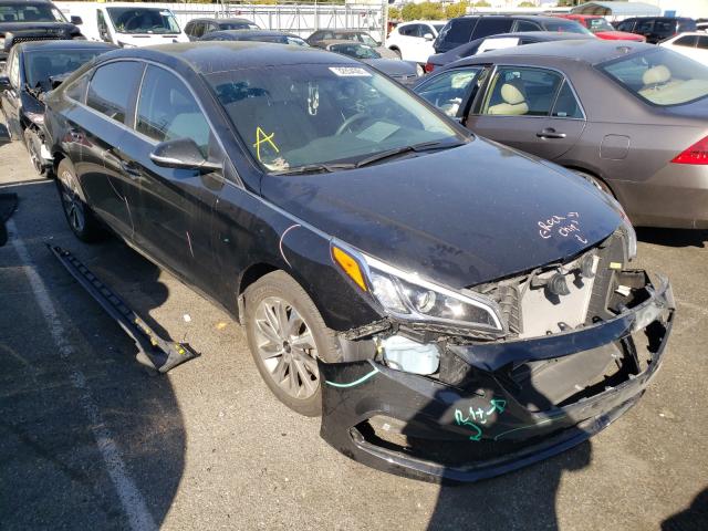 HYUNDAI SONATA SPO 2015 5npe34af0fh066826