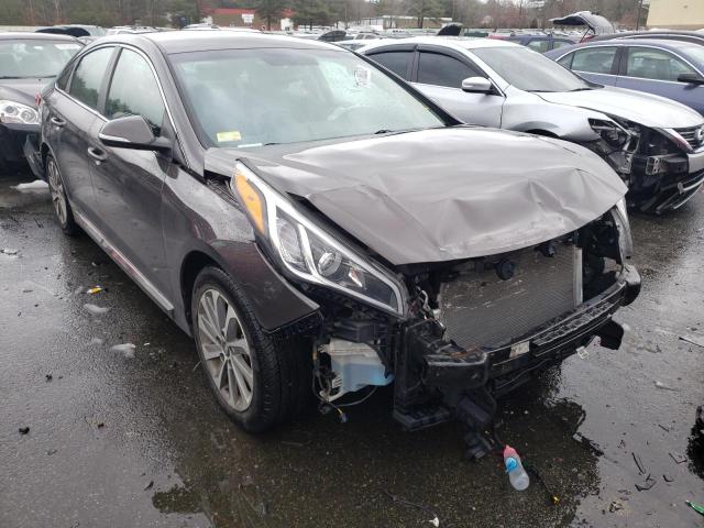 HYUNDAI SONATA SPO 2015 5npe34af0fh067412