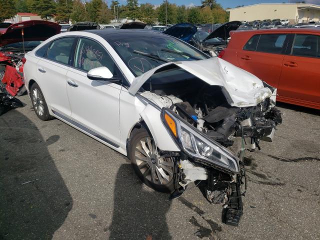 HYUNDAI SONATA SPO 2015 5npe34af0fh079401