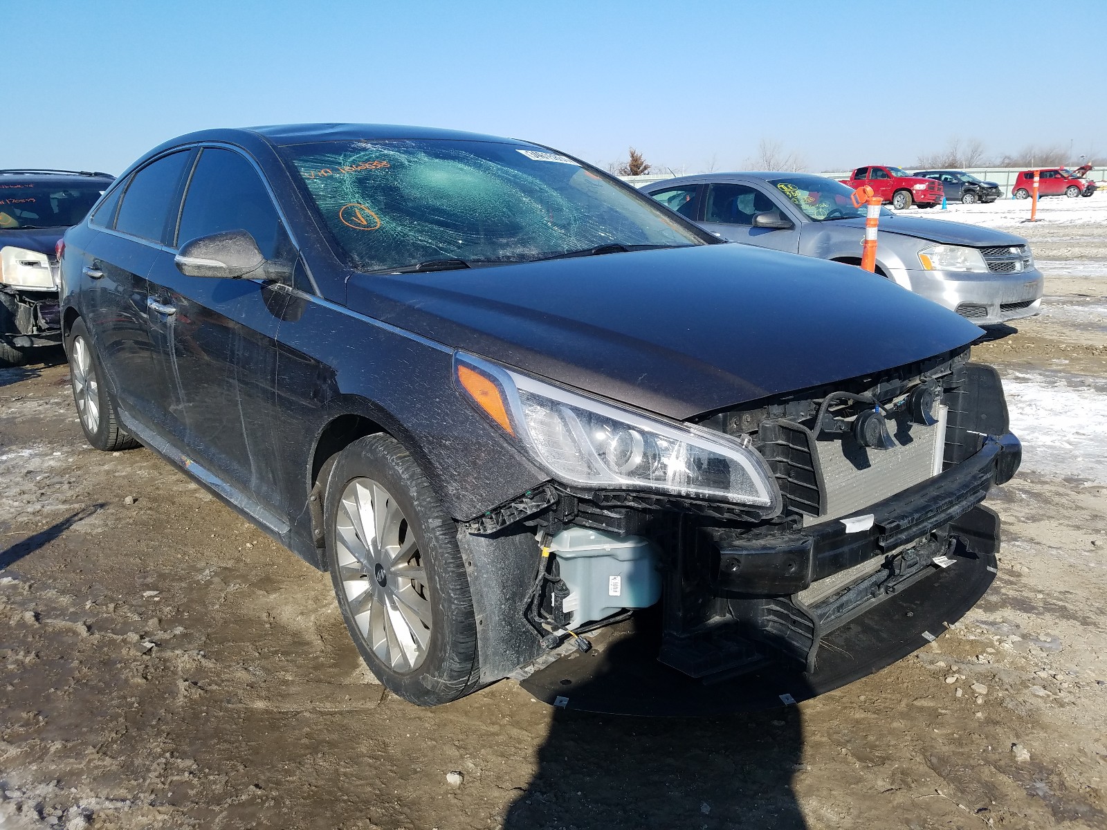 HYUNDAI SONATA SPO 2015 5npe34af0fh106838