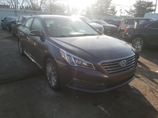 HYUNDAI SONATA SPO 2015 5npe34af0fh109982