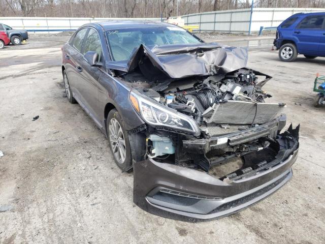 HYUNDAI SONATA SPO 2015 5npe34af0fh130718